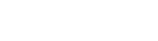 Lexicon Tech Solutions